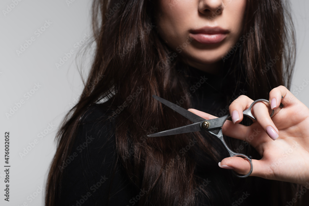 Obraz premium cropped view of young woman in black turtleneck holding scissors near long hair isolated on grey