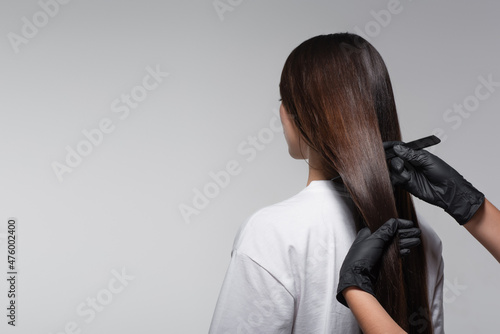 Εκτύπωση καμβά colorist in latex gloves holding comb near long hair of client isolated on grey