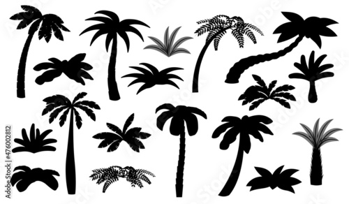 Black palm tree silhouettes. Isolated palms, coconut trees. Beach bush, tropical exotic forest elements. Summer ocean travel landscape recent vector set