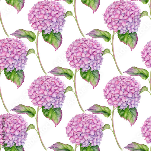 Watercolor Hydrangea seamless pattern. Hand painted pink Hortensia flower with leaves and stem isolated on white background. Flowering plant repeated design for wallpaper  package  fabrics  textile.