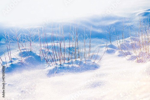 Blurred frozen grass. Winter abstract background. Landscape.