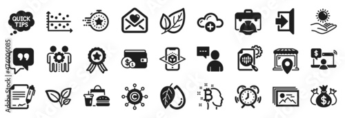 Set of Business icons, such as Timer, Love letter, Winner ribbon icons. Leaf, Mineral oil, Sun protection signs. Check investment, Copywriting network, Market location. Leaves, Quick tips. Vector
