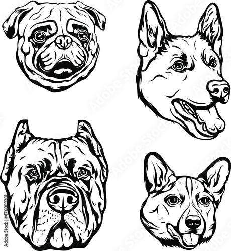 Hand drawn face of dogs. Black and white vector illustration mascot art © ARTSTOK