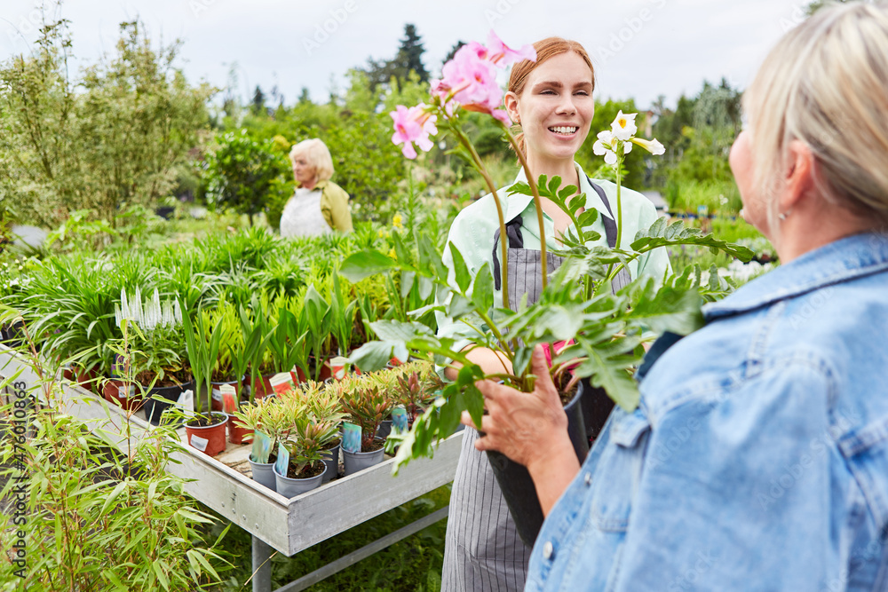 Floristin bei Beratung von Kundin beim Blumen Kauf Stock Photo Adobe