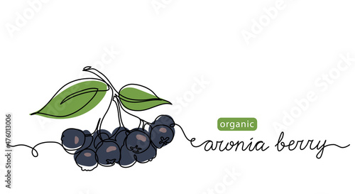 Bunch of chokeberry, aronia berry. Vector color illustration, doodle, sketch for label design. One continuous line art drawing with aronia berry lettering photo