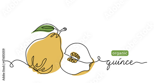 Quince fruit vector color illustration, background, sketch for label design. One continuous line art drawing with Quince lettering photo