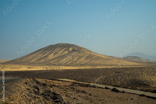 Sandy hills with dry plants