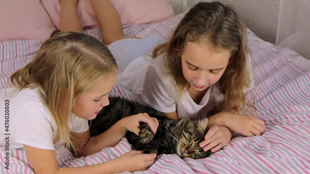 Little sister girls are resting on the bed with their gray tabby cat, stroking and hugging him, smiling and laughing. Life of pets in a happy family Little sister girls are resting on the bed with their gray tabby cat, stroking and hugging him, smiling and laughing. Life of pets in a happy family