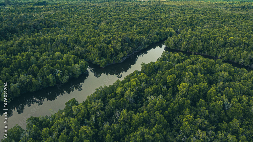 Beautiful aerial scenery of river stream covered by trees in Kuching, Sarawak, Malaysia Beautiful aerial scenery of river stream covered by trees in Kuching, Sarawak, Malaysia