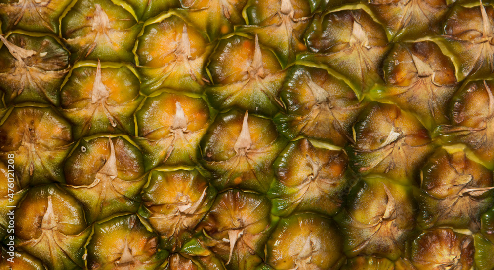 Pineapple Peel Texture in full screen.  Pineapplepeel
