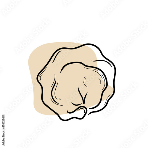 Dumpling isolated on a white background. Doodle flat vector.