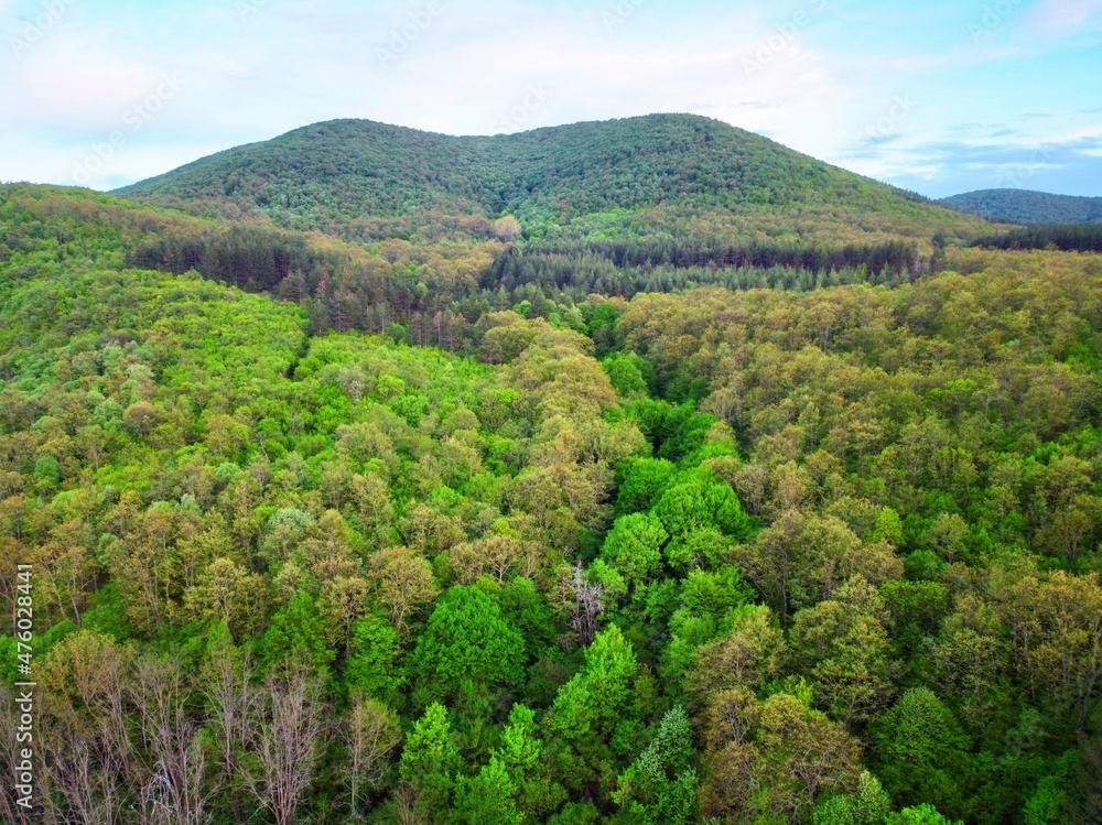 Fototapeta premium landscape with hills