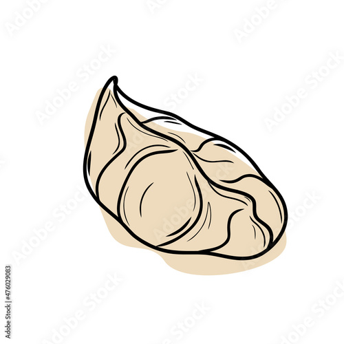 Mandu isolated on a white background. 
Steamed Korean dumplings Mandu with chicken meat and vegetables.
Doodle flat vector. photo
