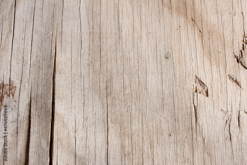 Abstract broken wood landscape. Artistic texture background. Abstract broken wood landscape. Artistic texture background.