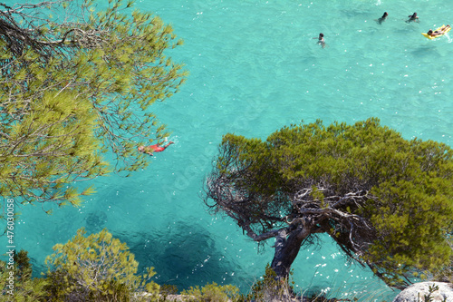 Cala Galdana all in the blue sea and Mediterranean vegetation. photo