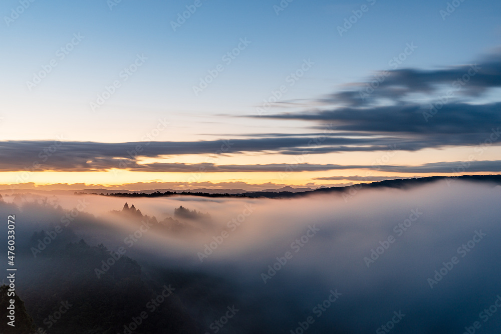 Obraz premium 奈良 - 【月ヶ瀬梅渓の雲海】