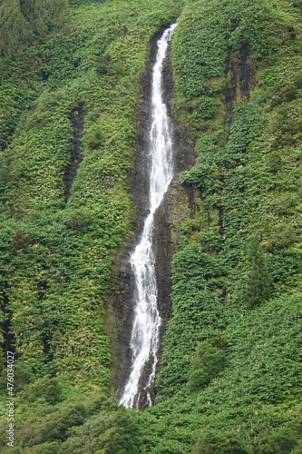 Famous Poco da Ribeira do Ferreiro waterfalls in the rainforest near, Faja Grande, Flores, Azores, Portugal