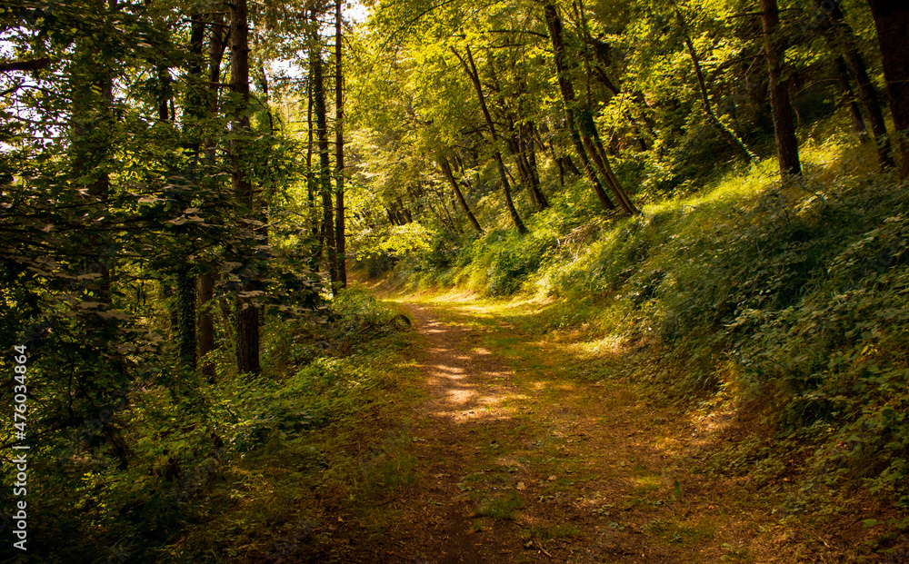 Obraz premium Romagna