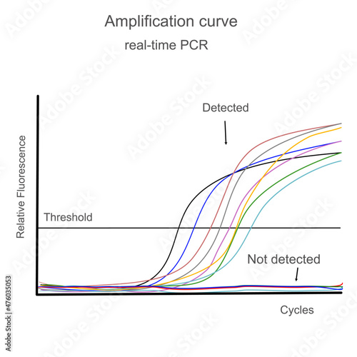 The amplification curve of real time-PCR or Qualitative PCR
 photo