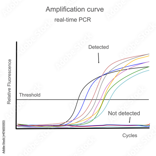 The amplification curve of real time-PCR or Qualitative PCR
