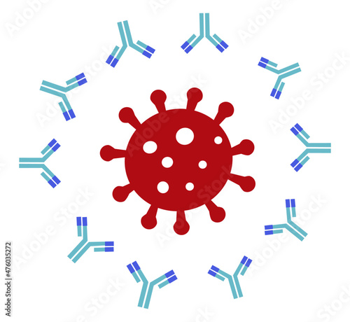 The neutralizing antibodies surround SARS-CoV-2 virus or COVID-19
