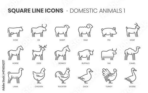 Domestic animals related, pixel perfect, editable stroke, up scalable square line vector icon set.