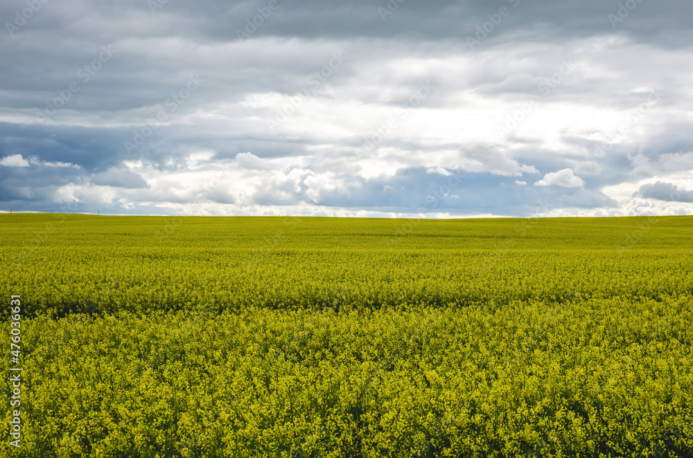 Great countryside with blue sunny skies with clouds