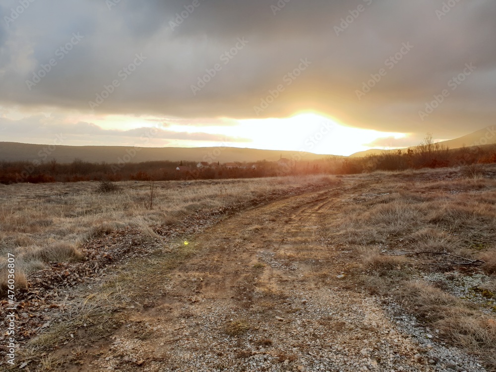 Field Field
