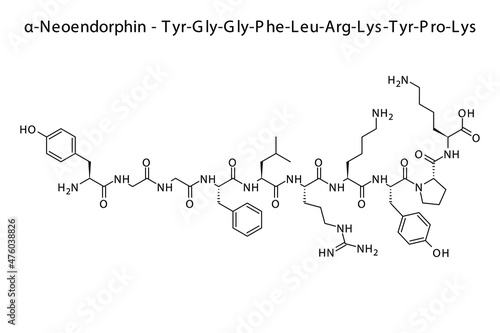 Alpha neoendorphin biomolecule molecular formula. Skeletal molecule structure vector eps10.