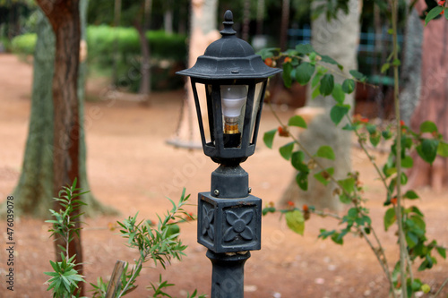 Street lamp in the Rock Garden.