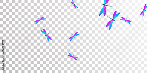 Exotic blue purple dragonfly isolated vector illustration. Spring beautiful insects. Wild dragonfly isolated children wallpaper. Sensitive wings damselflies graphic design. Fragile beings