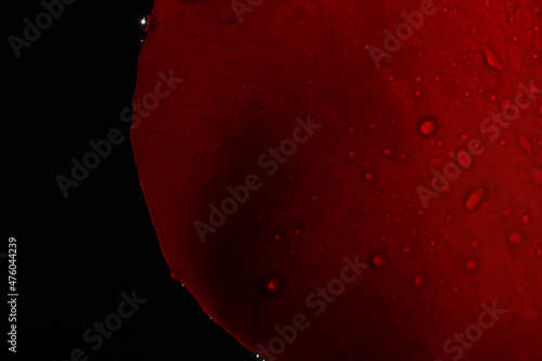 Macro shot of a flower petal with splashes and drops of water. Texture of leaf and petal on a background of blurry splashes.