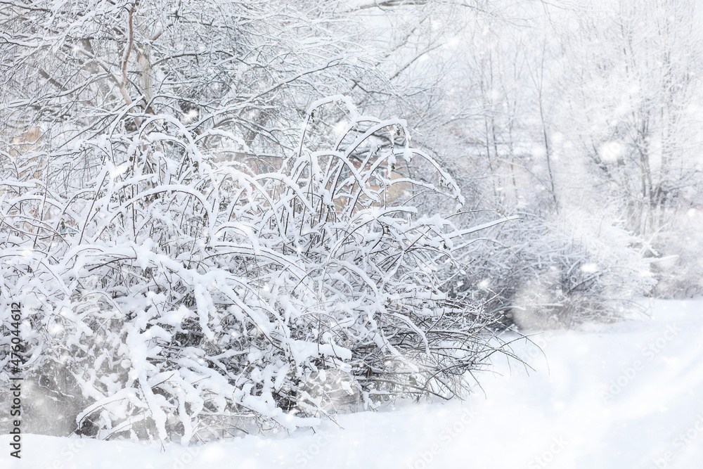 Winter landscape. Forest under the snow. Winter in the park. Winter landscape. Forest under the snow. Winter in the park.