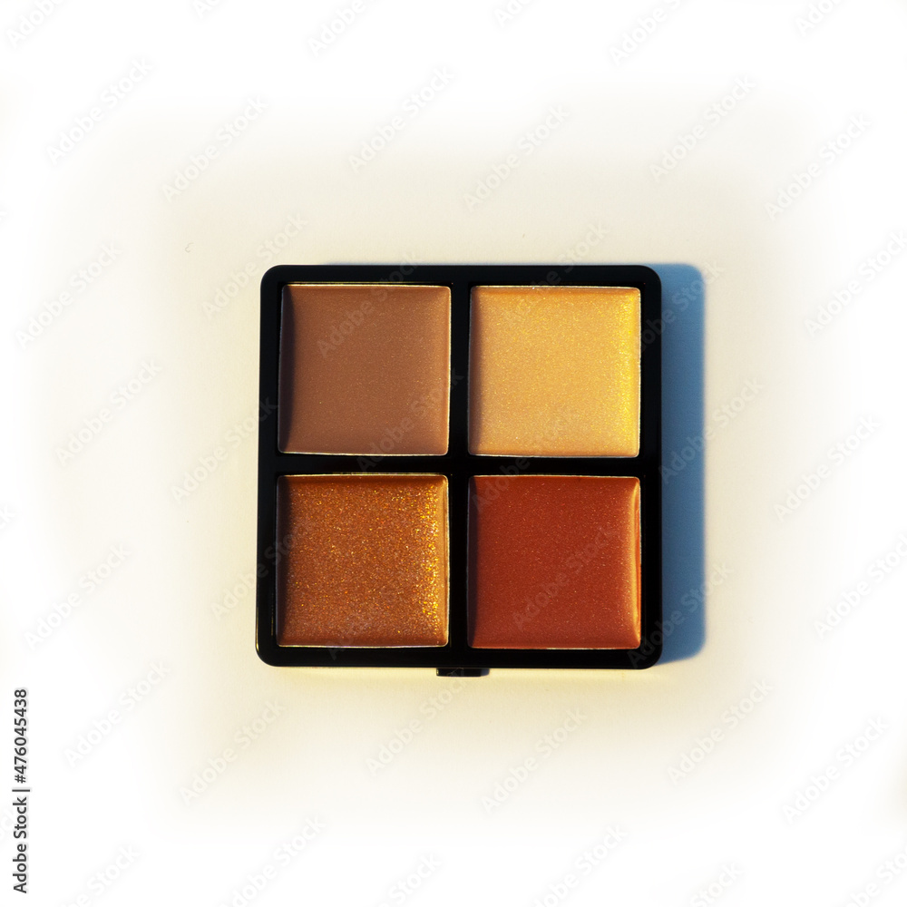 Mini palette with warm shades of lip gloss. Isolated image on a white background. Nobody. New cosmetics. Collection of four shades. Mini palette with warm shades of lip gloss. Isolated image on a white background. Nobody. New cosmetics. Collection of four shades.