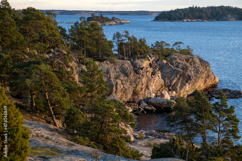 Beautiful natural Scandinavian landscape. Rocky shore at the Baltic sea with pine trees forest. Sunny late autumn or winter day in the nature in Sweden  Stockholm archipelago.