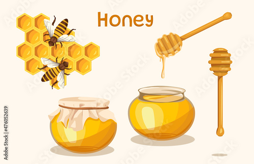 Illustration with liquid natural honey on white background. Vector honeycombs with bee, closed and open glass jar with honey and wooden dipper in cartoon style.