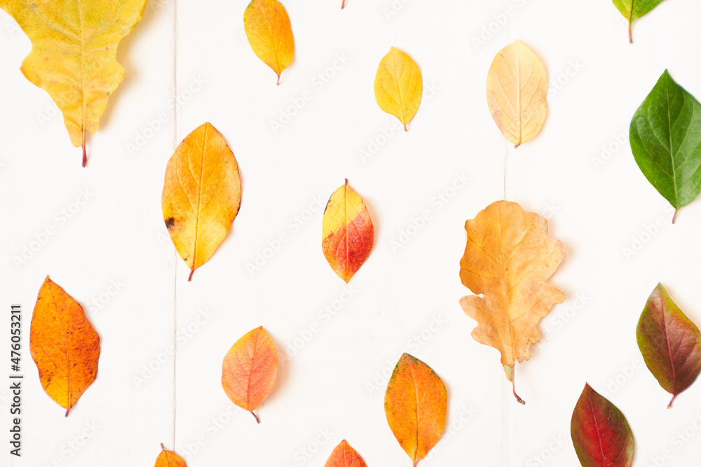 Obraz premium Autumn composition of leaves, on a white background. Flat lay, copy space. High quality photo