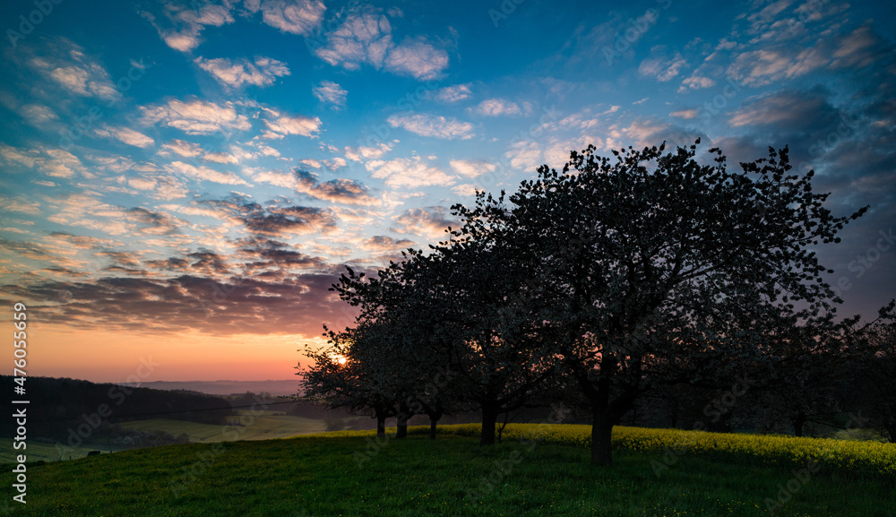 Beautiful sunset sky with orchard, twilight sky background.