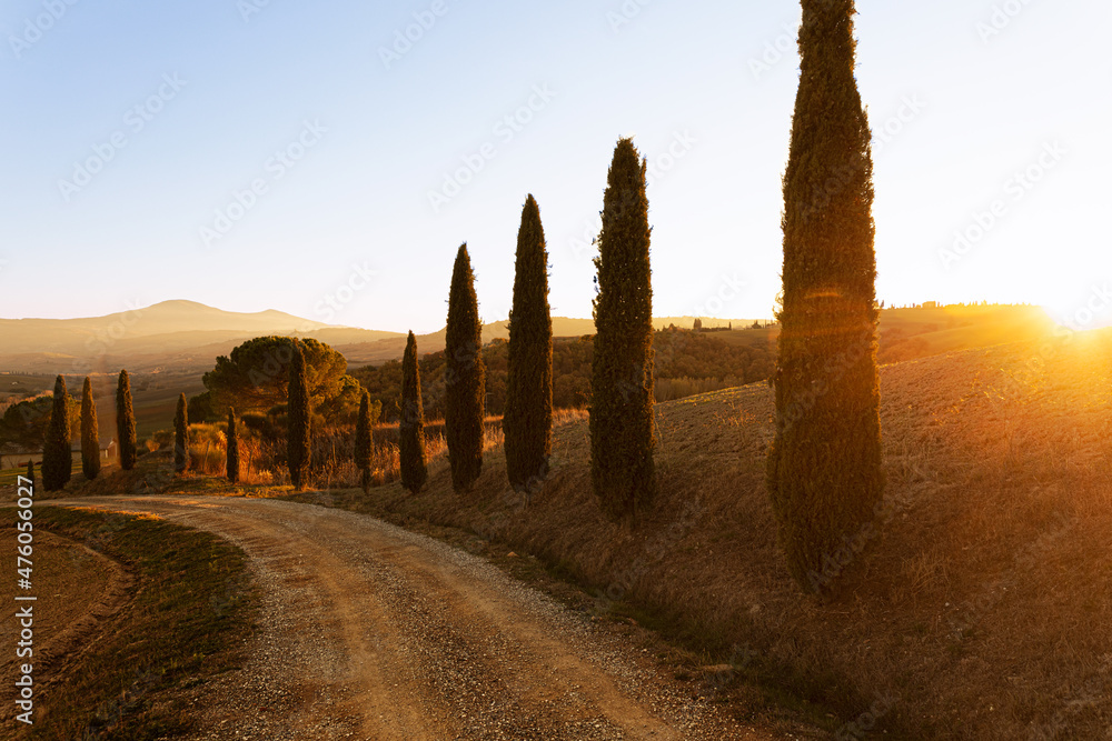 Photo of a country dirt road in Italy, with tall cypress trees, very warm sunlight at sunset. in the background hills and mountains. relaxing picture, agriculture.