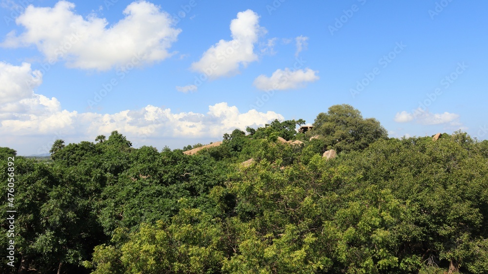 Beautiful green evergreen landscape. And white clouds against the backdrop of the blue sky.