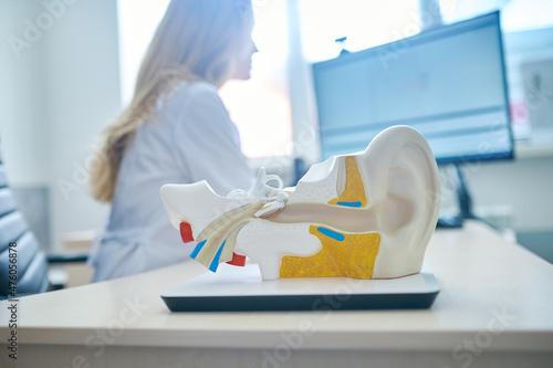 Human ear model on table and woman sitting behind photo