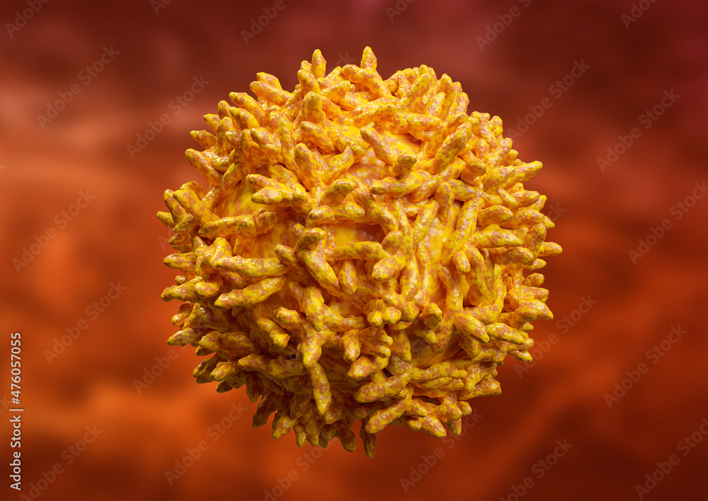 Microscopic View Of The Yellow Fever Virus Ilustraci n De Stock Adobe microscopic-view-of-the-yellow-fever-virus-ilustraci-n-de-stock-adobe