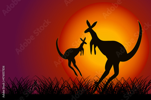 Kangaroo at sunset. Silhouette of kangaroo on orange sun background. Two kangaroos in Australian savanna. Couple wallaby at sundown. Wildlife of Australia. Australia Day banner with copy space. Vector