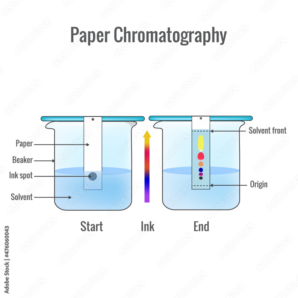 Paper chromatography analytical method for the separation of a mixture