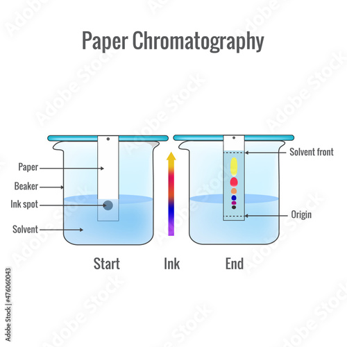 Paper chromatography analytical method for the separation of a mixture into its individual components