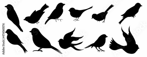 Fényképezés bird silhouette vector collection set
