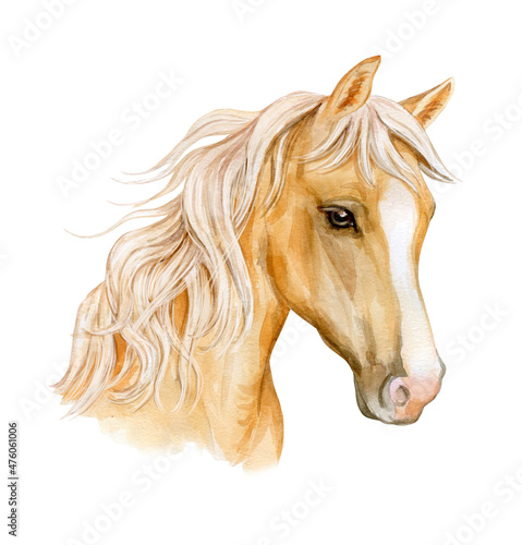 light brown horse. Watercolor. Realistic animal isolated on white background. Template. Close-up. Clip art. Hand drawn. Greeting card design. Emblems. Poster. Postcard. Wedding. Invitation