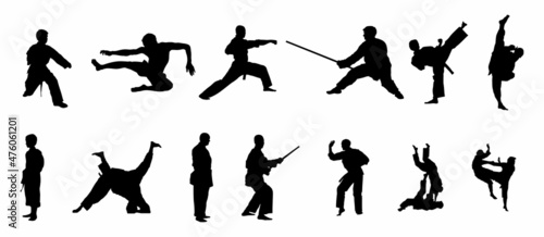 Foto karate silhouette vector collection set