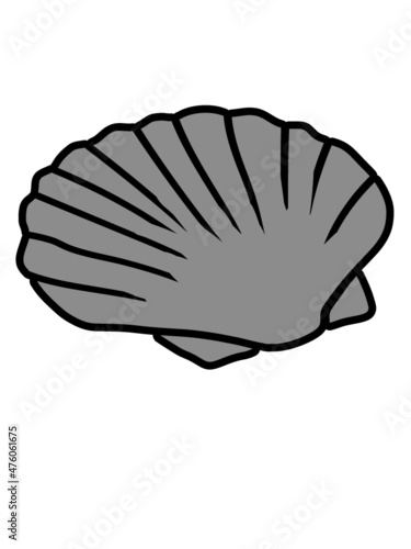 Logo Graue Muschel 