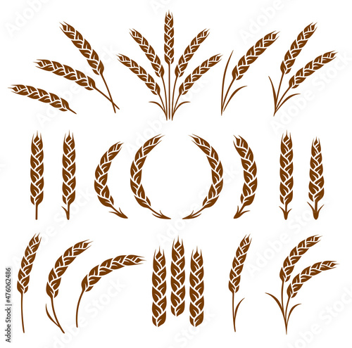 set of silhouettes wheat, rye, barley, rice